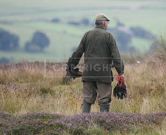 melmerby website-229