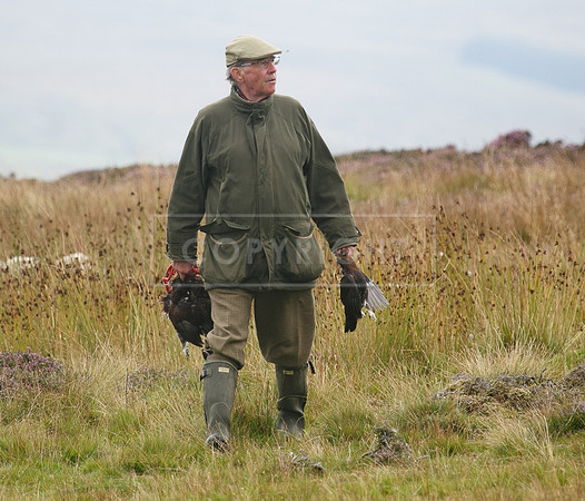 melmerby website-230