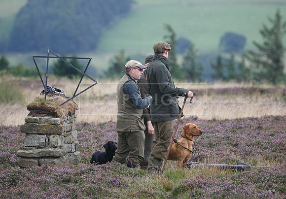 melmerby website-232