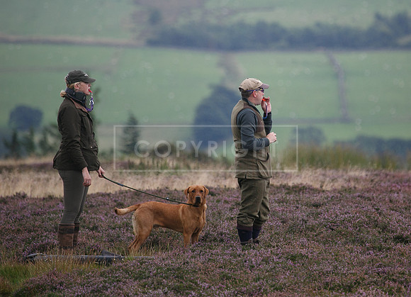 melmerby website-234