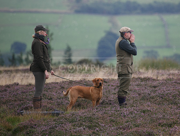 melmerby website-235