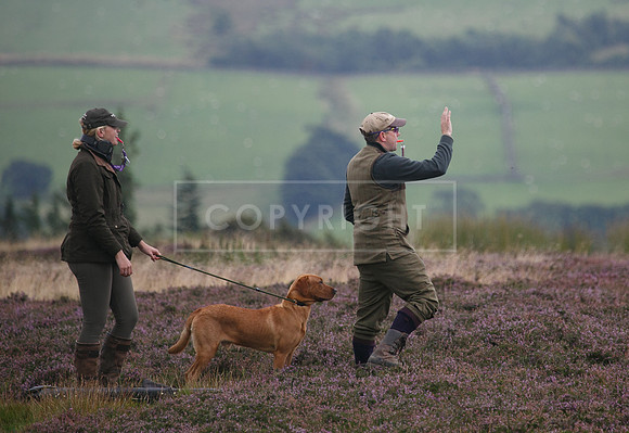 melmerby website-236