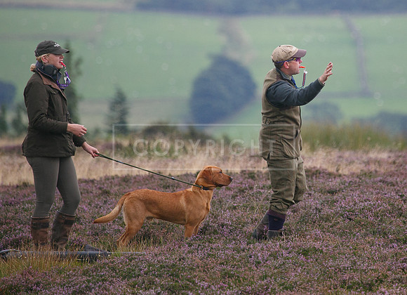 melmerby website-237