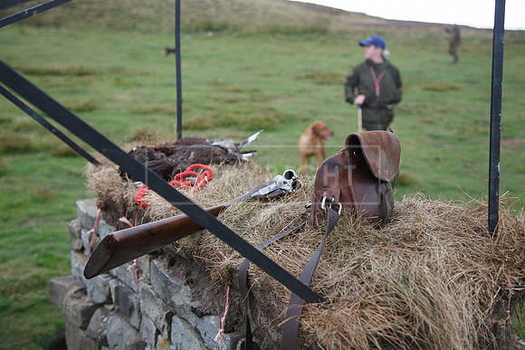 melmerby website-241