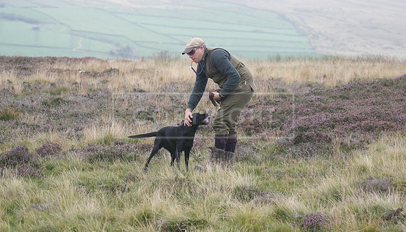 melmerby website-243