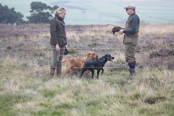 melmerby website-244