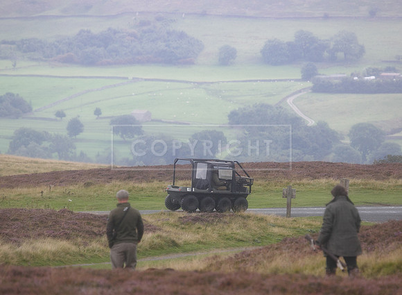 melmerby website-247
