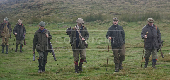 melmerby website-249