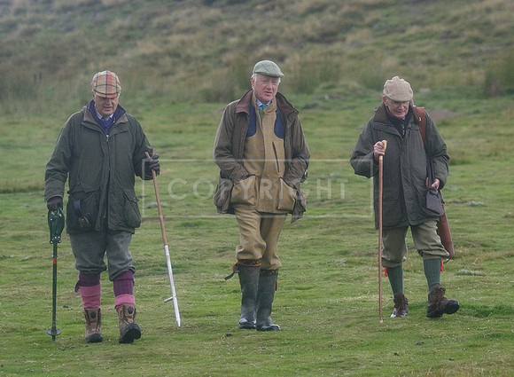 melmerby website-250