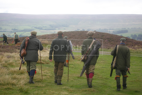 melmerby website-251