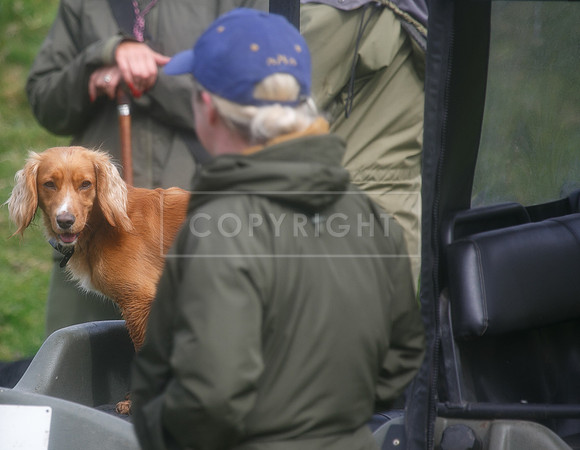 melmerby website-252
