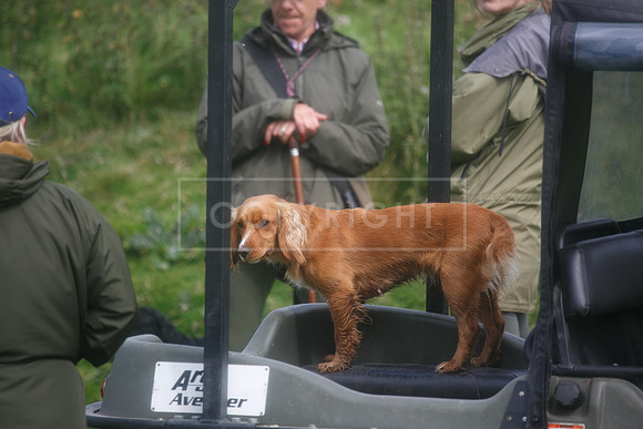 melmerby website-253