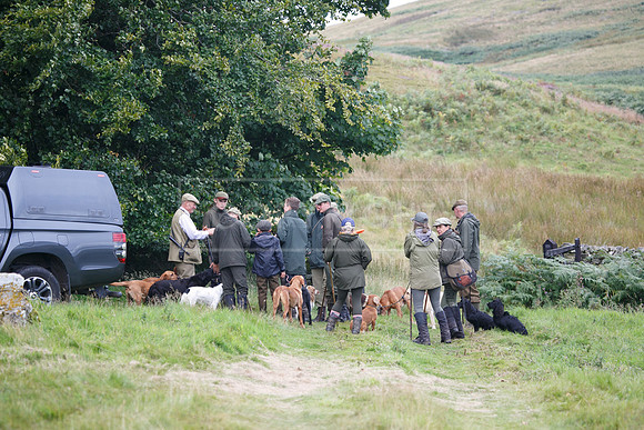 melmerby website-259