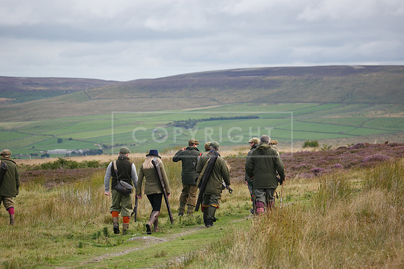 melmerby website-261