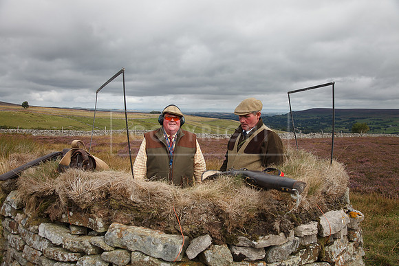 melmerby website-262