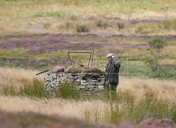 melmerby website-263