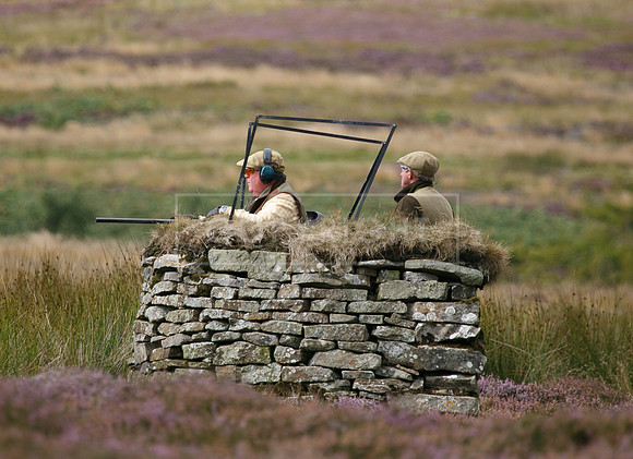melmerby website-264