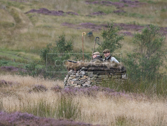 melmerby website-267