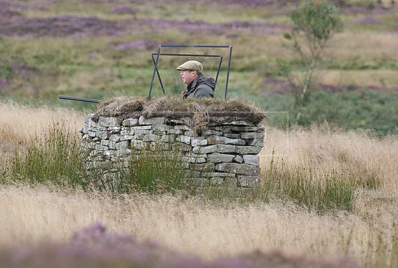 melmerby website-268