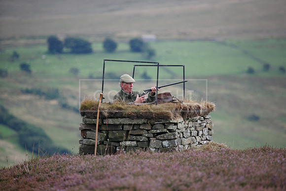 melmerby website-266