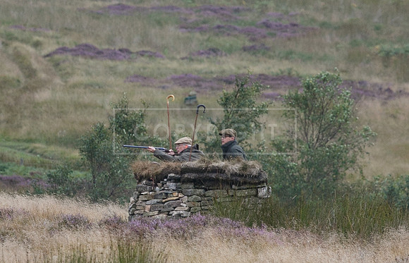 melmerby website-272
