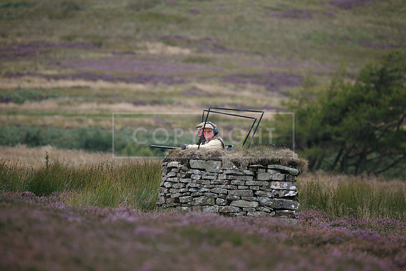 melmerby website-271