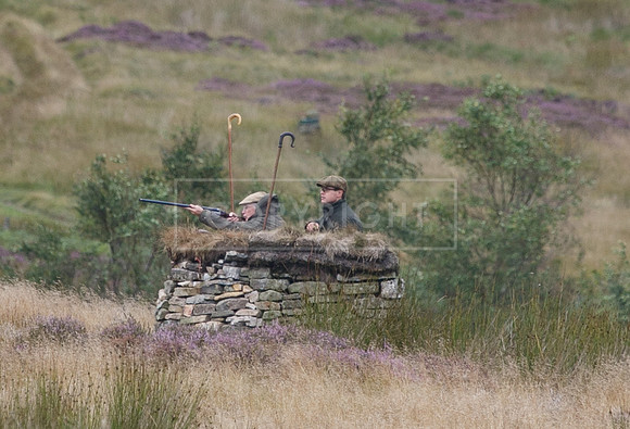 melmerby website-275