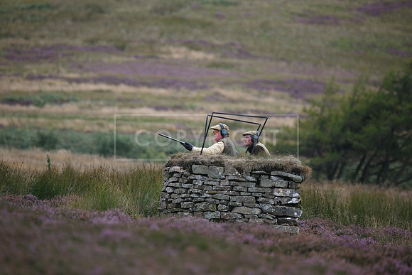 melmerby website-273