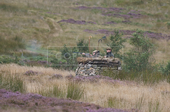 melmerby website-276