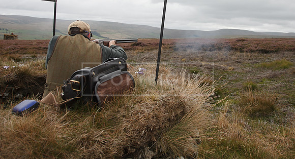 melmerby website-278