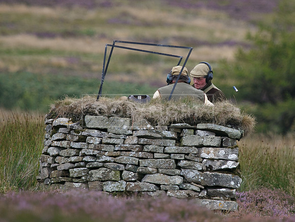 melmerby website-277