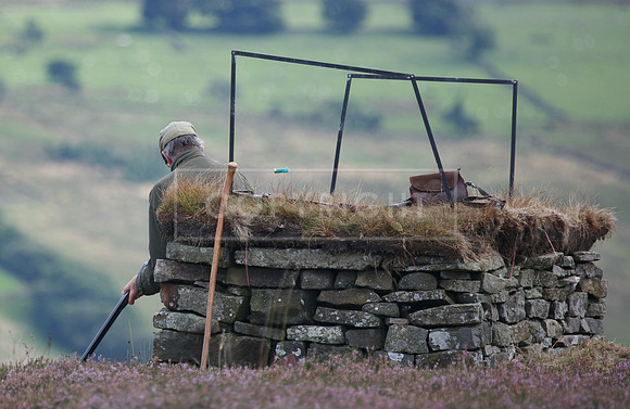 melmerby website-283