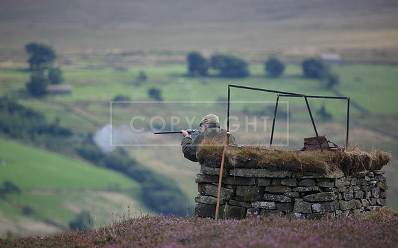 melmerby website-282