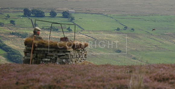 melmerby website-285