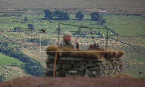 melmerby website-286
