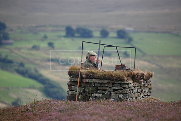 melmerby website-287