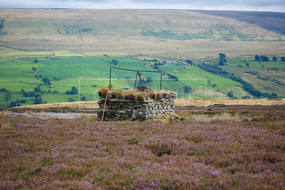 melmerby website-290