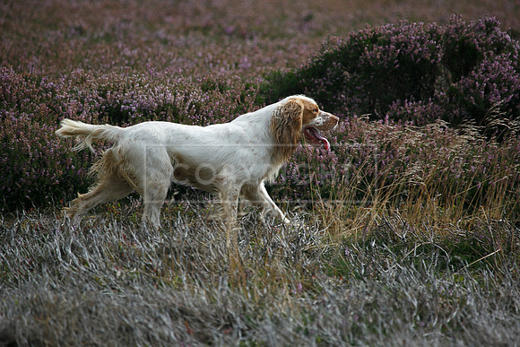 melmerby website-288