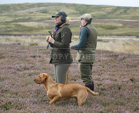 melmerby website-294