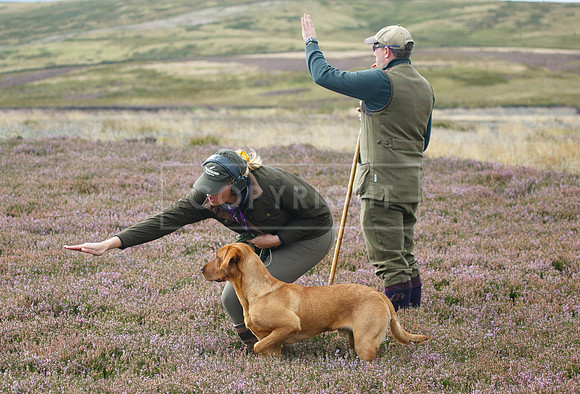 melmerby website-297