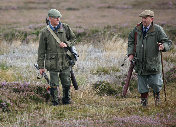 melmerby website-300