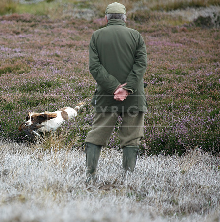 melmerby website-304