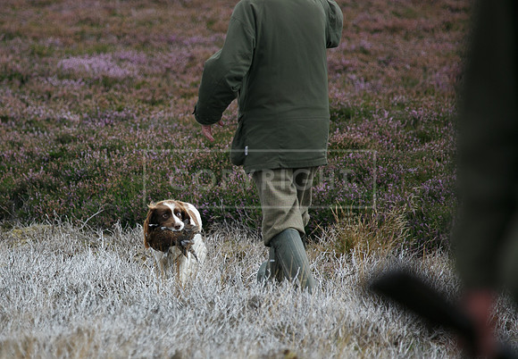 melmerby website-306