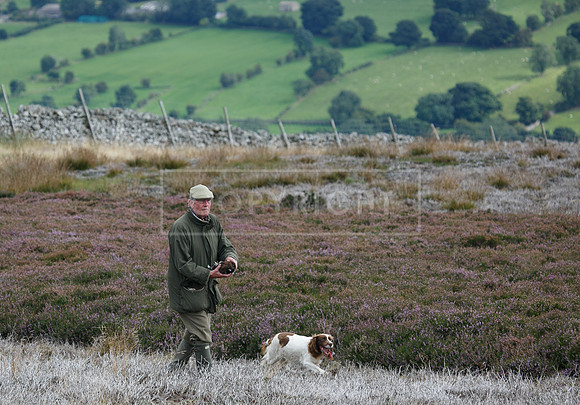 melmerby website-307