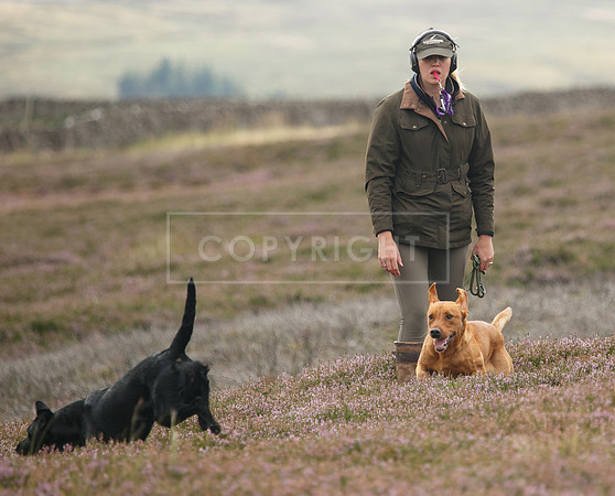 melmerby website-310