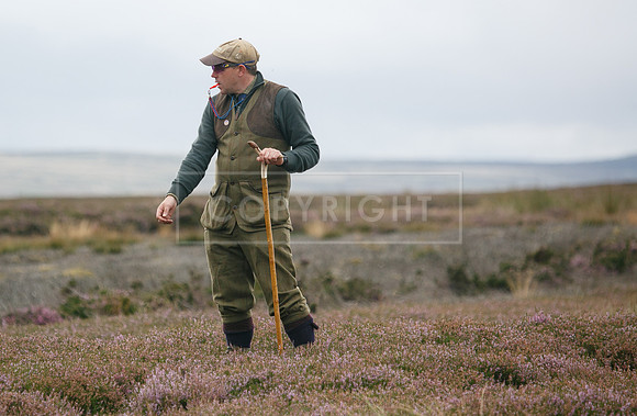 melmerby website-309
