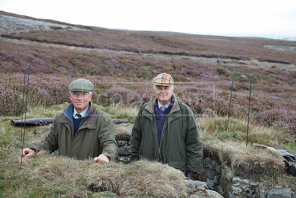 melmerby website-317
