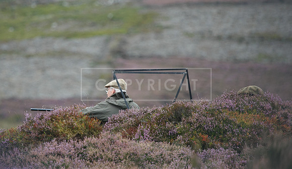 melmerby website-320