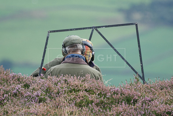 melmerby website-327