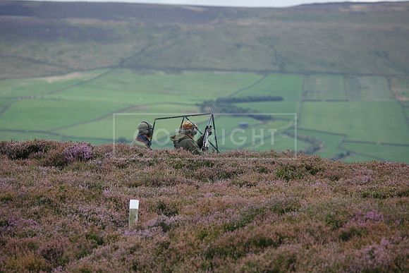 melmerby website-322